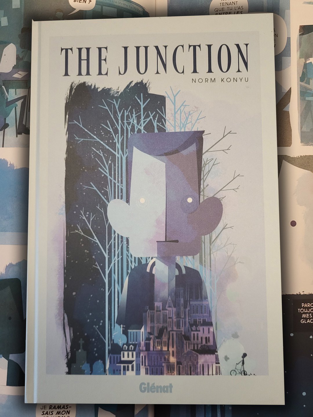 Couverture de The junction