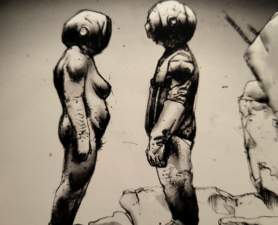 "Illustration de Blatta"