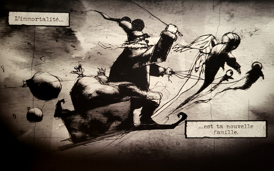 "Illustration de Blatta"